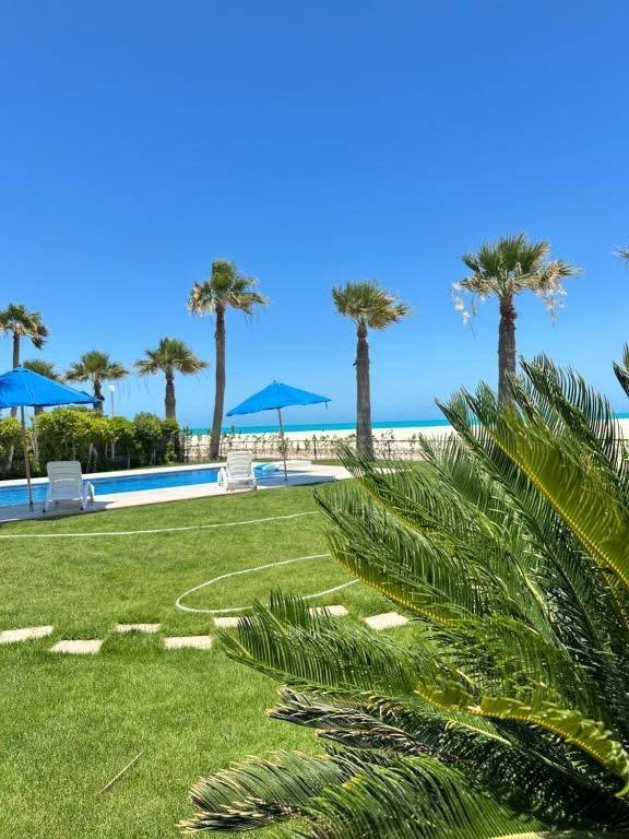 lavista 6 ain shokna